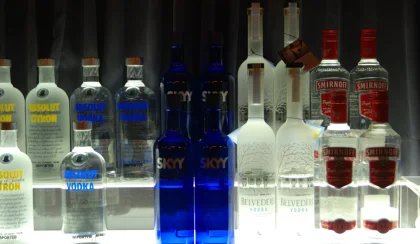 VOTKA & GIN & APPETİZER